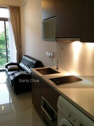 Mount Sophia Suites (D9), Apartment #238687791
